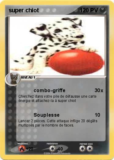 Pokemon super chiot