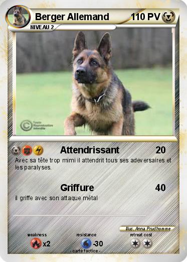 Pokemon Berger Allemand