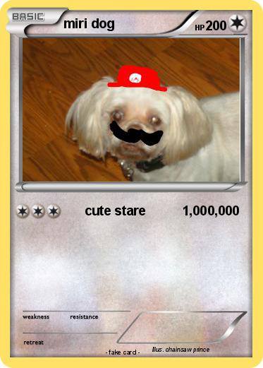 Pokemon miri dog