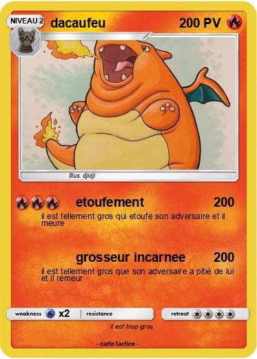 Pokemon dacaufeu