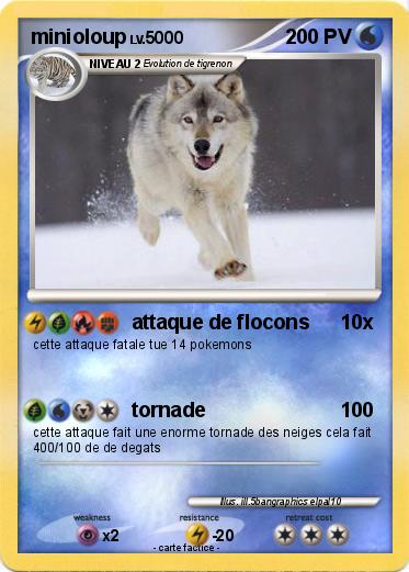 Pokemon minioloup