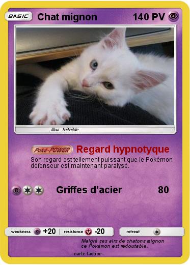 Pokemon Chat mignon