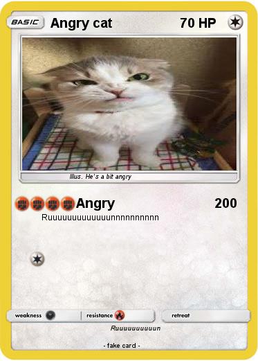 Pokemon Angry cat