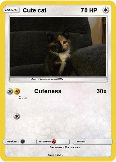 Pokemon Cute cat