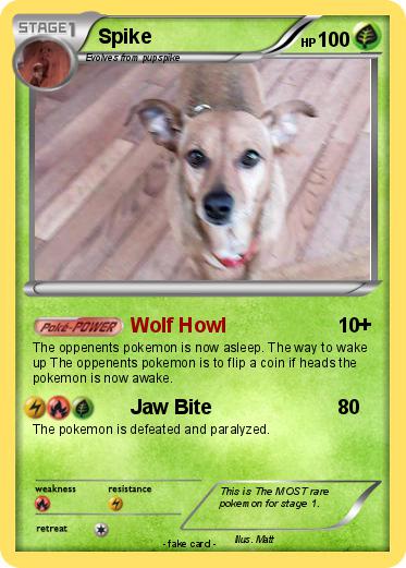 Pokemon Spike