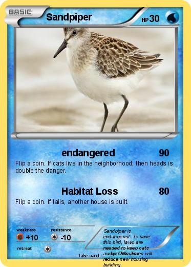 Pokemon Sandpiper