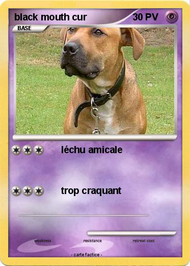 Pokemon black mouth cur
