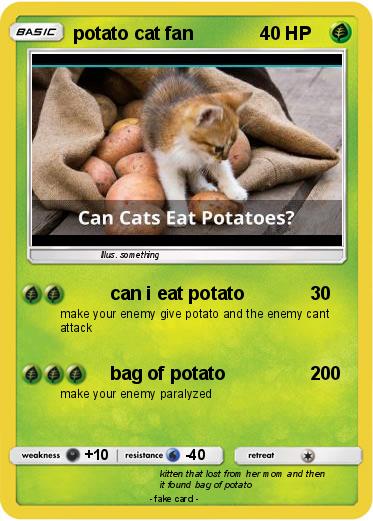 Pokemon potato cat fan