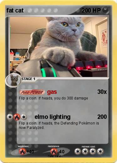 Pokemon fat cat