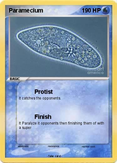 Pokemon Paramecium