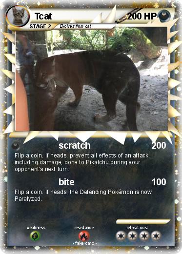 Pokemon Tcat