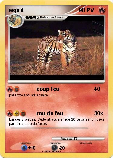 Pokemon esprit