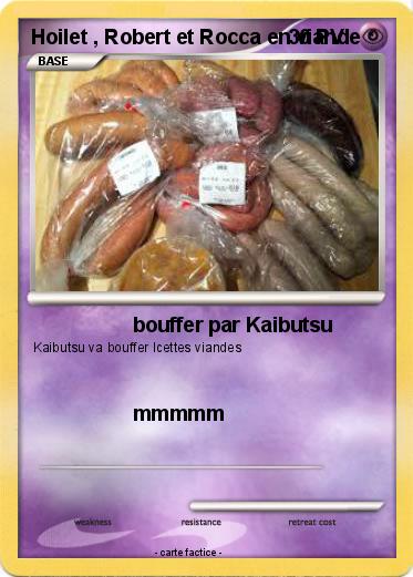 Pokemon Hoilet , Robert et Rocca en viande