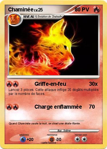 Pokemon Chaminée
