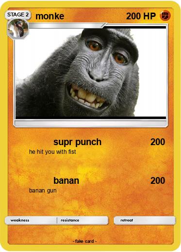 Pokemon monke