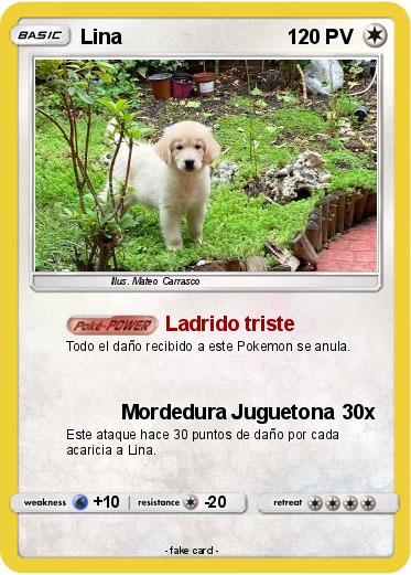 Pokemon Lina