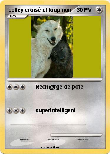 Pokemon colley croisé et loup noir