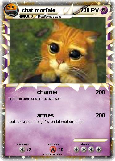 Pokemon chat morfale