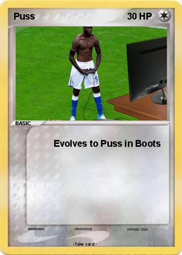 Pokemon Puss