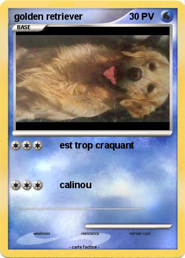 Pokemon golden retriever