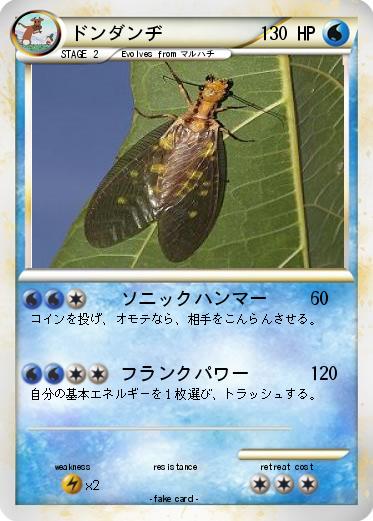 Pokemon ドンダンヂ