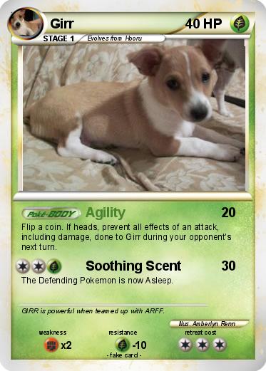 Pokemon Girr