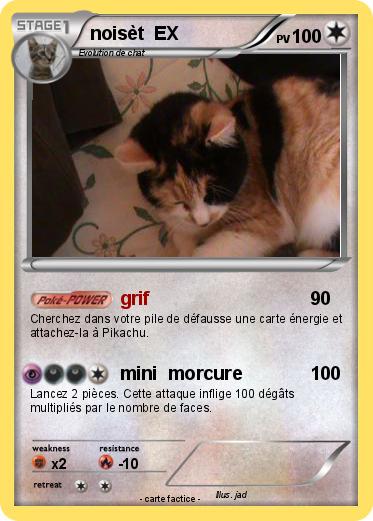 Pokemon noisèt  EX