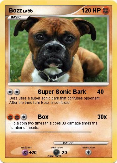 Pokemon Bozz