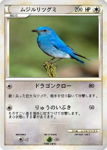 Pokemon ムジルリツグミ