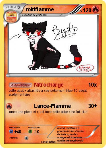 Pokemon roitiflamme