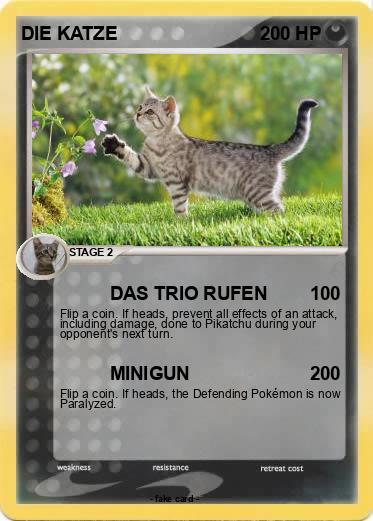 Pokemon DIE KATZE