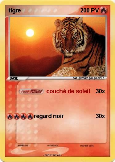 Pokemon tigre