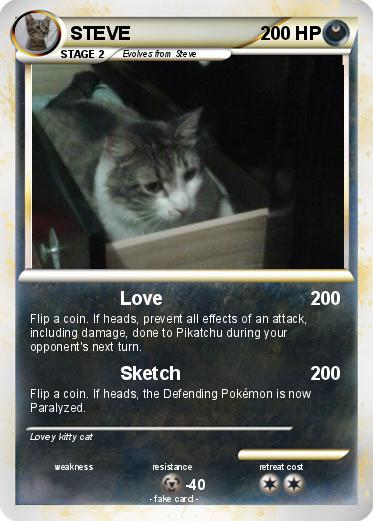 Pokemon STEVE