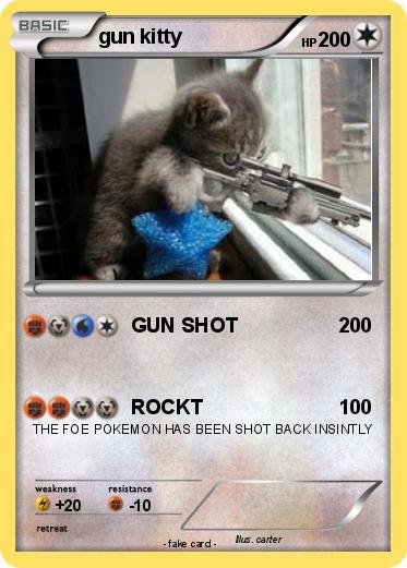 Pokemon gun kitty