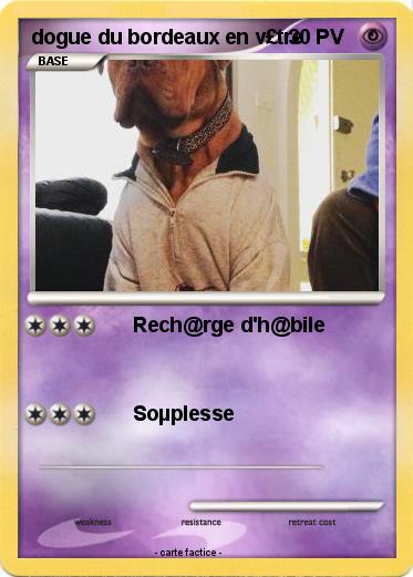 Pokemon dogue du bordeaux en v£tre