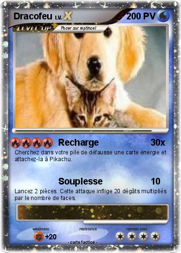 Pokemon Dracofeu