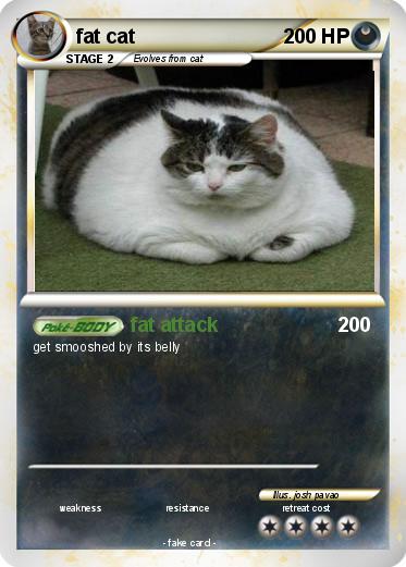 Pokemon fat cat