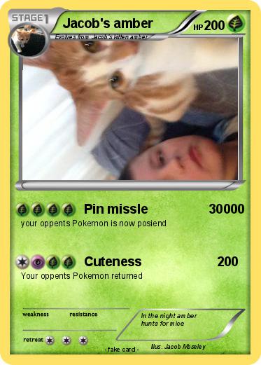 Pokemon Jacob's amber
