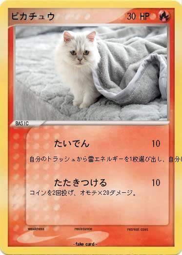 Pokemon ピカチュウ