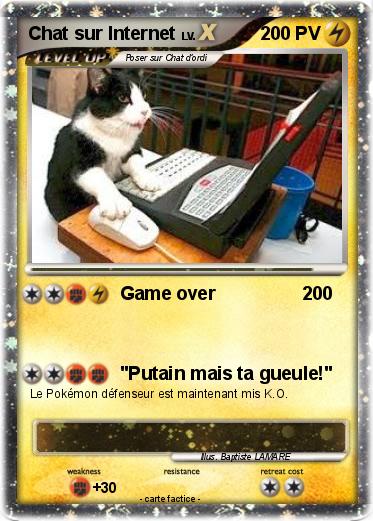 Pokemon Chat sur Internet