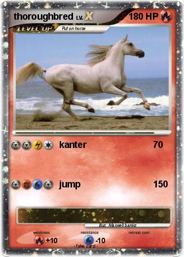 Pokemon thoroughbred