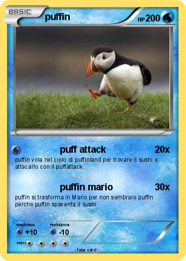 Pokemon puffin