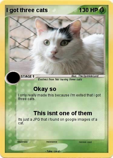 Pokemon I got three cats