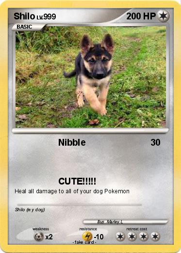 Pokemon Shilo