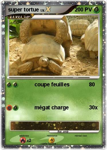 Pokemon super tortue