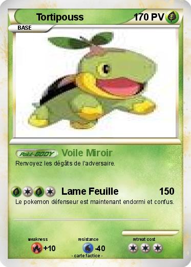 Pokemon Tortipouss
