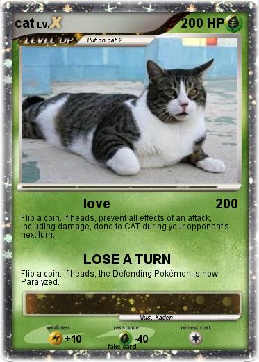 Pokemon cat