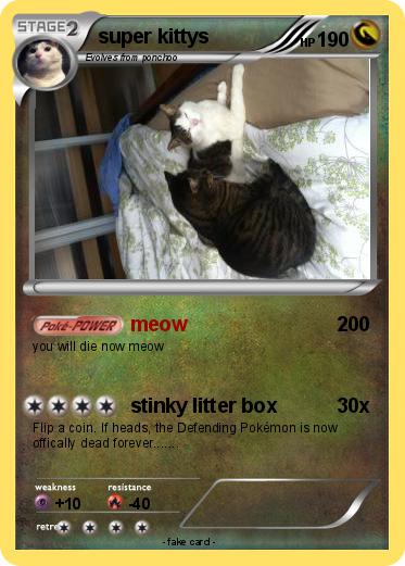 Pokemon super kittys