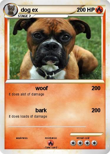 Pokemon dog ex