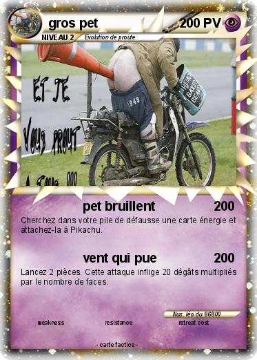 Pokemon gros pet